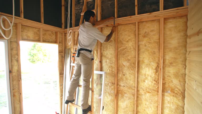 Best Spray Foam Insulation  in Richton, MS